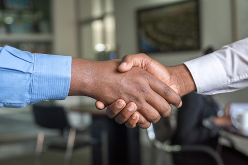 Two hands shaking wearing business attire. 