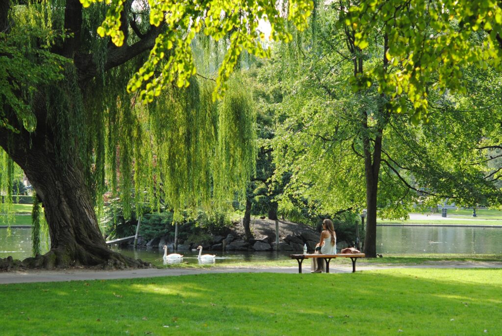 A beautiful park scene in Cicero, IL